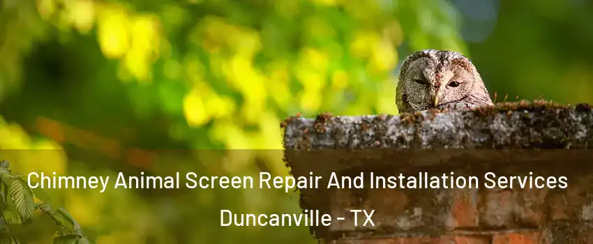  Chimney Animal Screen Repair And Installation Services Duncanville - TX