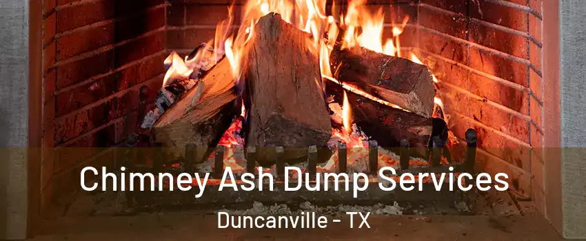  Chimney Ash Dump Services Duncanville - TX