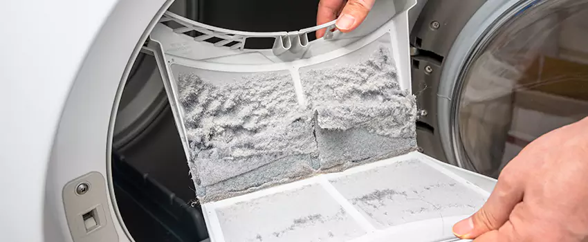 Best Dryer Lint Removal Company in Duncanville, Texas