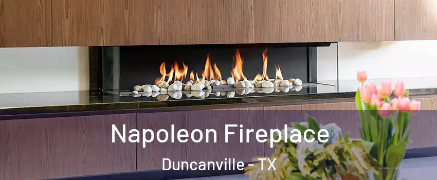  Napoleon Fireplace Duncanville - TX